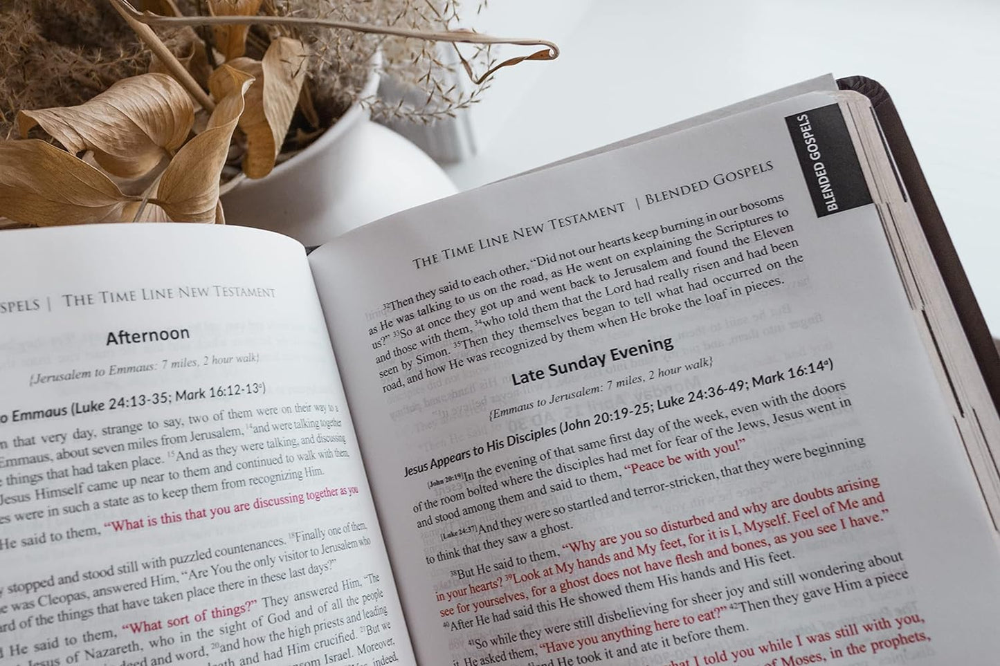 The Time Line New Testament Bible